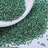 MIYUKI Delica Beads X-SEED-J020-DB0426-1