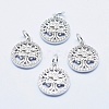 Brass Micro Pave Clear Cubic Zirconia Charms ZIRC-J040-10P-NR-1
