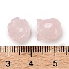 Natural Rose Quartz Beads G-G109-01F-3
