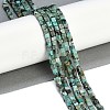 Natural African Turquoise(Jasper) Beads Strands X-G-B129-A20-01-2
