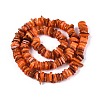 Natural Freshwater Shell Beads Strands SHEL-N037-01B-2
