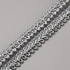 Polyester Metallic Braid Lace Trim OCOR-WH0089-22B-1