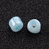 6/0 Glass Seed Beads SEED-US0003-4mm-143-2