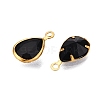 K9 Glass Charms GLAA-T023-10F-2