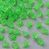 Transparent Acrylic Beads X-PL554-13-1