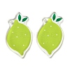 Opaque Printed Acrylic Pendants OACR-I020-06C-1