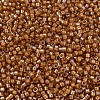 MIYUKI Delica Beads SEED-X0054-DB1734-3