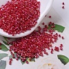 MIYUKI Delica Beads X-SEED-J020-DB0162-1