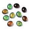 Glass Cabochons GLAA-R218-01-2