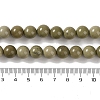 Natural Alashan Agate Beads Strands G-P530-B05-04-5
