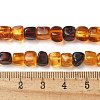 Natural Amber Beads Strands G-K387-E02-01-5