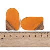 Resin & Wood Pendants WOOD-F015-13E-3