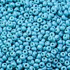 8/0 Baking Paint Glass Seed Beads X1-SEED-M012-02A-46-3