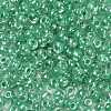 6/0 Glass Seed Beads SEED-A015-4mm-2218-2