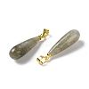 Natural Labradorite Teardrop Pendants G-Q005-03G-07-2