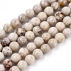 Natural Maifanite/Maifan Stone Beads Strands G-F353-6mm-1