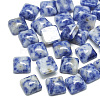 Natural Blue Spot Jasper Cabochons X-G-T026-10x10-15-1