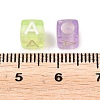 Transparent Acrylic Beads TACR-Q263-02A-01-2
