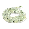 Natural Prehnite Beads Strands G-J400-C05-02-3