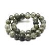 Natural Labradorite Bead Strands G-P256-01-10mm-2