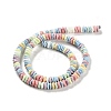 Natural Rainbow Alashan Agate Beads Strands G-NH0022-E01-01-3