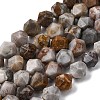 Natural Gobi Agate Beads Strands G-Z119-A36-03-3