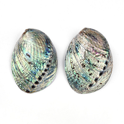 Natural Paua Shell Beads SSHEL-Q298-22-1