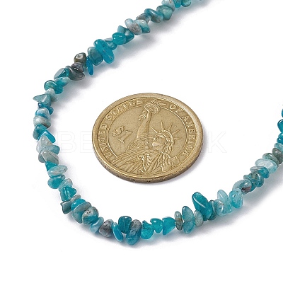 Natural Apatite Chip Beaded Necklace NJEW-JN04616-15-1