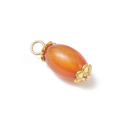 6Pcs Natural Agate(Dyed & Heated) Pendants PALLOY-JF04532-02-1