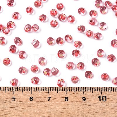 6/0 Baking Paint Transparent Fringe Glass Seed Beads X1-SEED-N006-06F-1