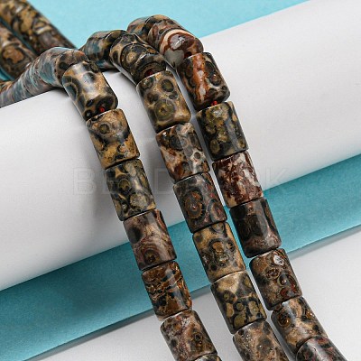 Natural Leopard Skin Jasper Beads Strands G-Q1008-A06-1
