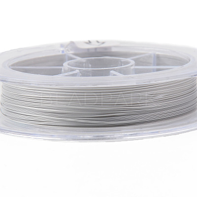 Tiger Tail Beading Wire TWIR-R007-0.3mm-02-1