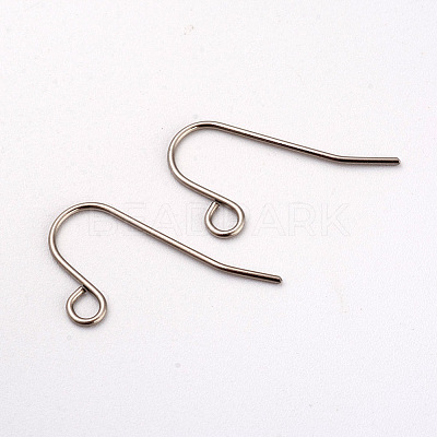 Tarnish Resistant 316L Surgical Stainless Steel Earring Hooks X-STAS-G229-08P-02-1