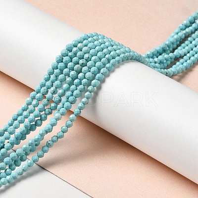 Natural Howlite Beads Strands G-C025-03B-01-1