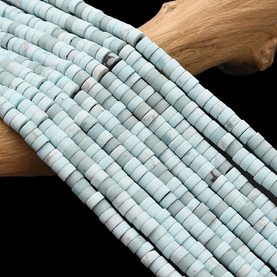 Dyed Synthetic Turquoise Beads Strands G-Z089-A04-C-1