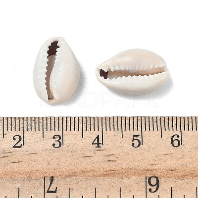 Natural Cowrie Shell Beads BSHE-O007-73-1