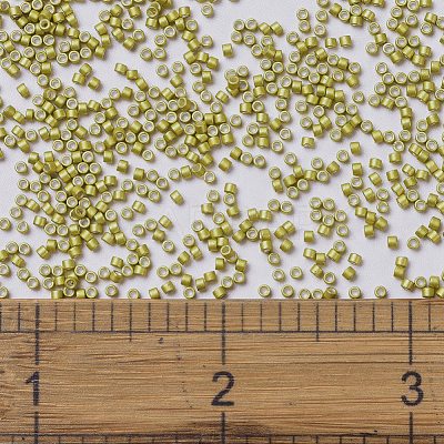 MIYUKI Delica Beads SEED-X0054-DB1154-1