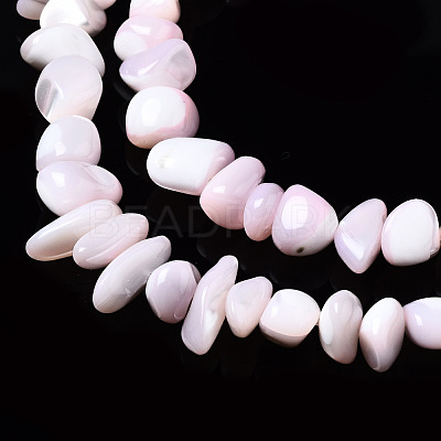 Natural Trochid Shell/Trochus Shell Bead Strands SSHEL-N034-78-C02-1