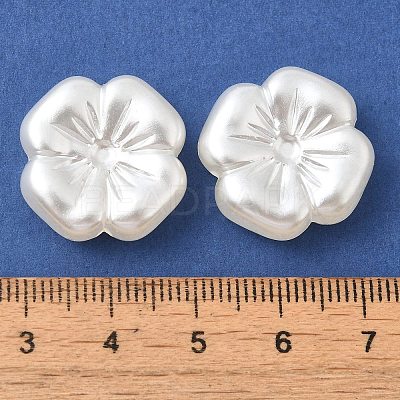 ABS Plastic Imitation Pearl Beads KY-I009-02-1