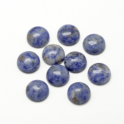 Natural Blue Spot Jasper Cabochons G-R416-10mm-45-1