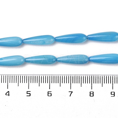 Natural Freshwater Shell Beads Strands SHEL-A004-03C-1