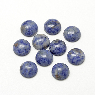 Natural Blue Spot Jasper Cabochons G-R416-12mm-45-1