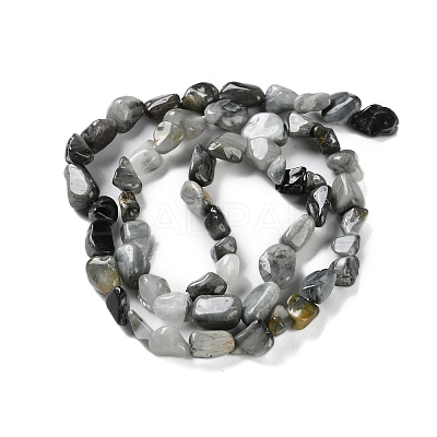 Natural Eagle Eye Stone Beads Strands G-P497-01C-52-1