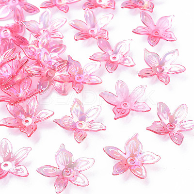 Transparent Acrylic Beads MACR-S373-102-C-1