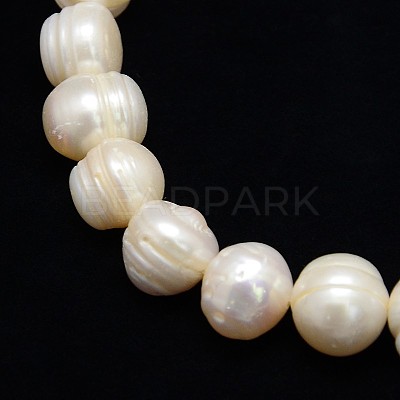 Natural Cultured Freshwater Pearl Beads Strands PEAR-L001-F-14-01-X-1