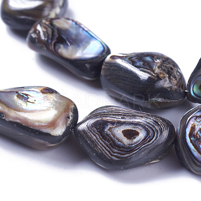 Natural Abalone Shell/Paua Shell Beads Strands SSHEL-F303-08A-1