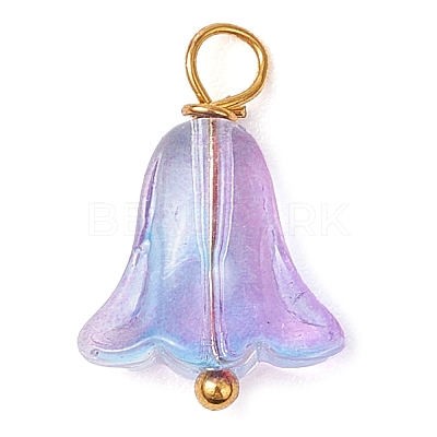 20Pcs Glass Beads Pendants PALLOY-JF03103-1
