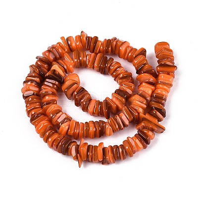 Natural Freshwater Shell Beads Strands SHEL-N037-01B-1