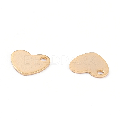 201 Stainless Steel Charms STAS-B001-24G-1