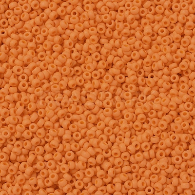 MIYUKI Round Rocailles Beads X-SEED-G007-RR0405F-1